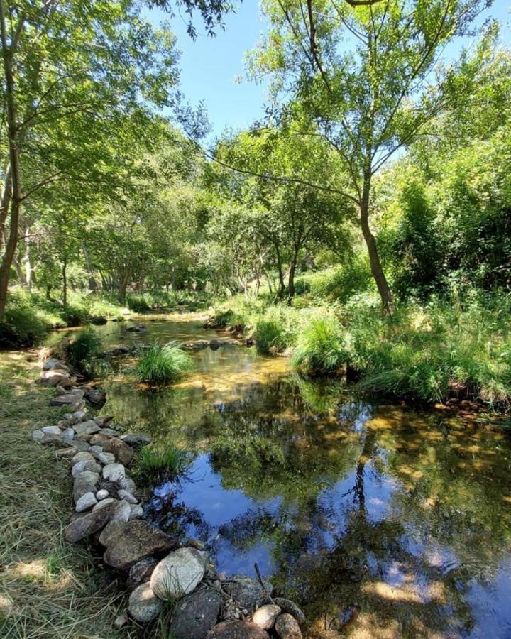 Hotel Ribera Del Corneja Navacepedilla de Corneja Екстер'єр фото